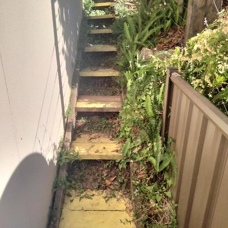 Single Room In Wollongong Near Uni Keiraville Eksteriør billede