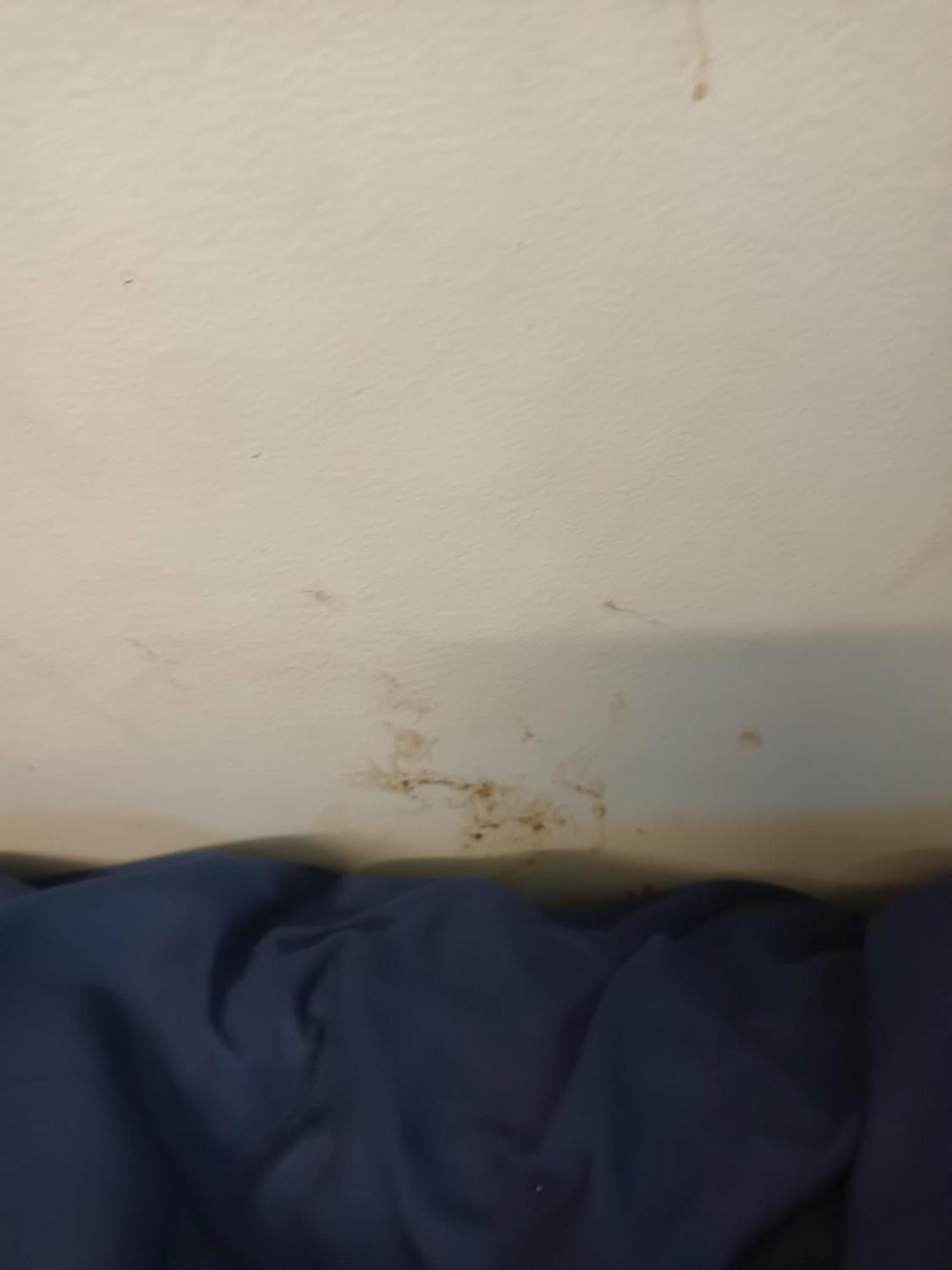 Single Room In Wollongong Near Uni Keiraville Værelse billede